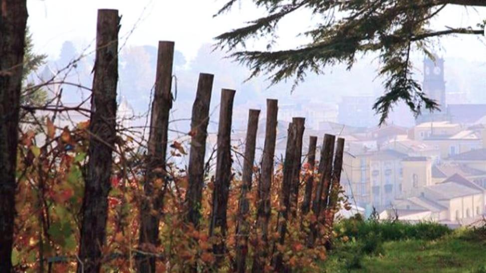 Appartamento Casa Sofia - Irpinia Avellino Esterno foto